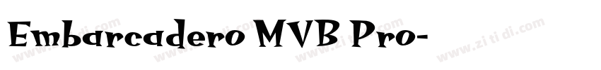 Embarcadero MVB Pro字体转换